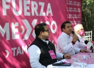 NUEVOS, PEQUEÑOS Y SIN CANDIDATOS