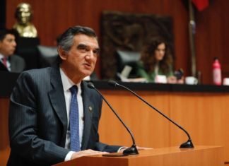 EL PROYECTO DEL SENADOR