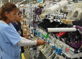 EMPLEOS PERDIDOS Y CAMPAÑAS