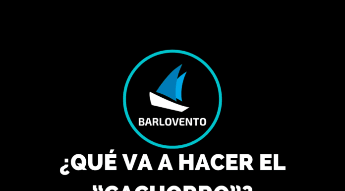 ¿QUÉ VA A HACER EL “CACHORRO”?