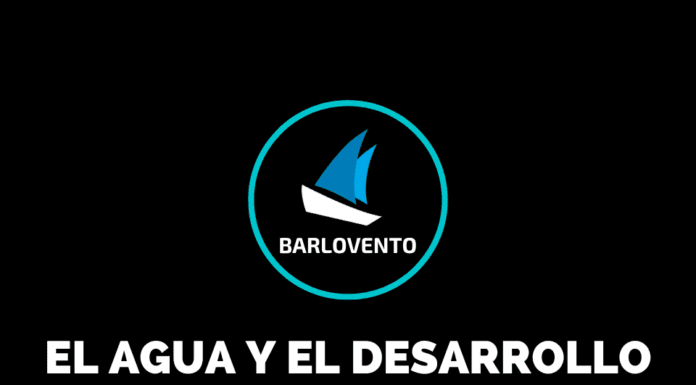 EL AGUA Y EL DESARROLLO