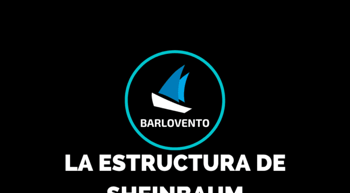 LA ESTRUCTURA DE SHEINBAUM