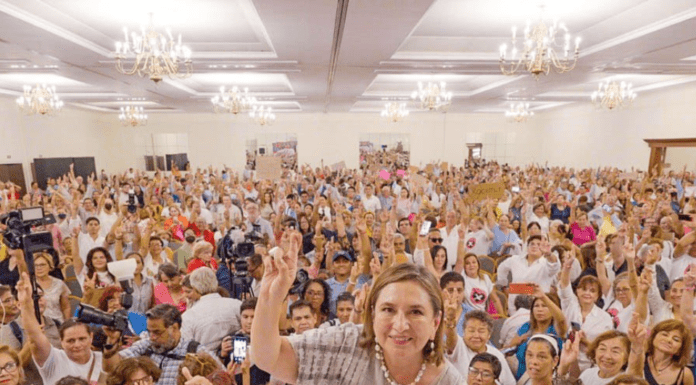 EL PROBLEMA DE XÓCHITL