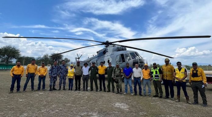 Supervisa SEDUMA zona de la sierra de Jaumave que fue afectada por incendio