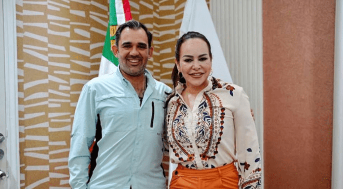 LOS MOVIMIENTOS DE LA AVANZADA