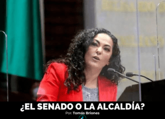 ¿EL SENADO O LA ALCALDÍA?