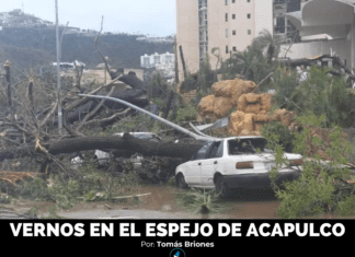 VERNOS EN EL ESPEJO DE ACAPULCO