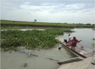 Realiza COMAPA Sur trabajos de limpieza en La Bocatoma “El Bartolo”