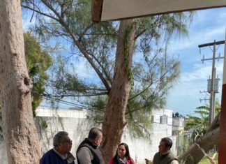 Restaurará ITIFE escuelas del sur afectadas por vientos