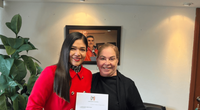 LA OPORTUNIDAD QUE EL PRI NO PUEDE DESAPROVECHAR