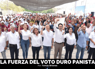 LA FUERZA DEL VOTO DURO PANISTA