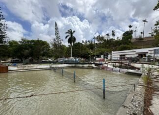 Lluvias de la tormenta “Alberto” serán de gran beneficio