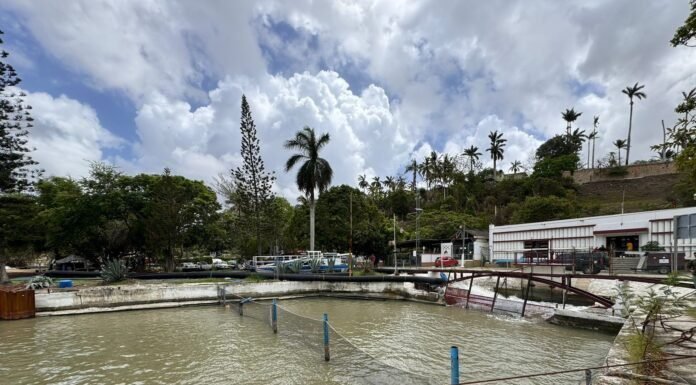 Lluvias de la tormenta “Alberto” serán de gran beneficio
