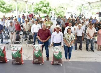 Reciben productores agrícolas de Soto la Marina semilla de sorgo y maíz