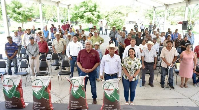 Reciben productores agrícolas de Soto la Marina semilla de sorgo y maíz