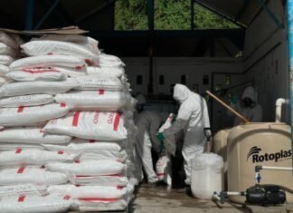 Importante avance de los trabajos extraordinarios de COMAPA SUR para mejorar la calidad del agua