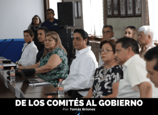 DE LOS COMITÉS AL GOBIERNO