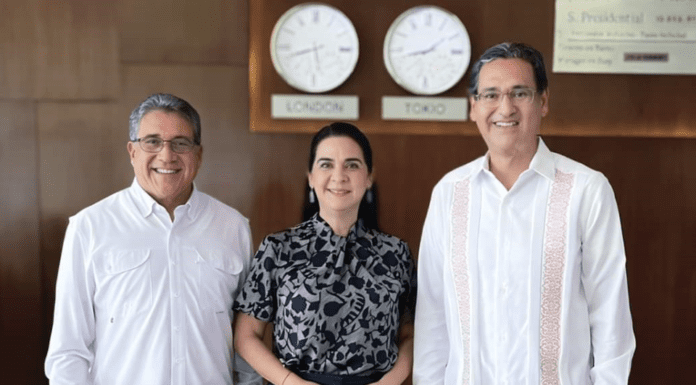 EL LIDERAZGO POLÍTICO DEL SUR