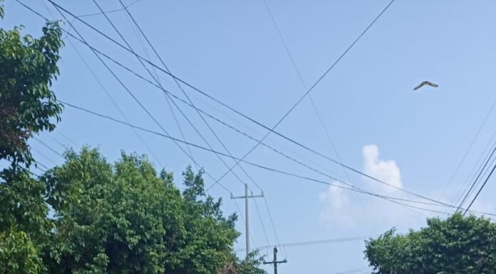 Agiliza Comapa Sur programa de reposición de calles