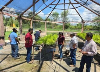 Presenta Desarrollo Rural programas de apoyo para productores agropecuarios y forestales de Abasolo