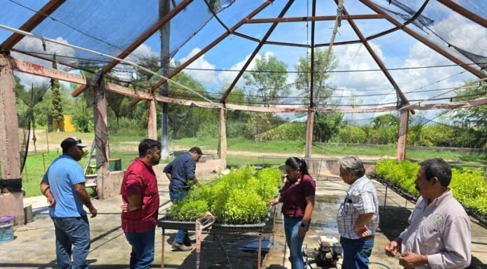 Presenta Desarrollo Rural programas de apoyo para productores agropecuarios y forestales de Abasolo