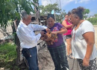 Aplicará la Secretaría de Salud más de 300 mil vacunas a mascotas