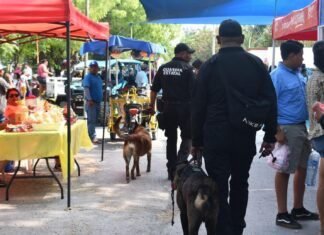 Guardia Estatal redobla vigilancia durante festejos patrios