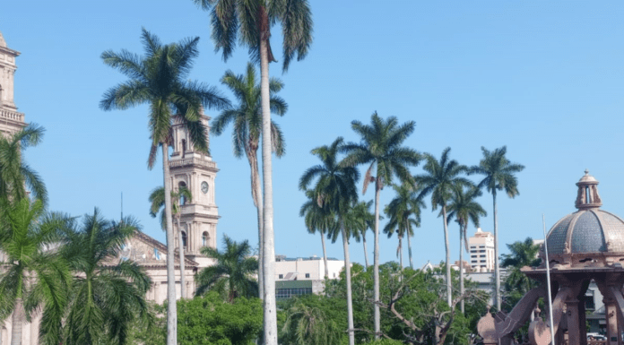 EL PLAN PARA EL DESARROLLO DE TAMPICO