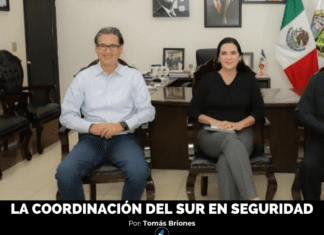 LA COORDINACIÓN DEL SUR EN SEGURIDAD