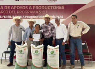 Productores citrícolas del municipio de Llera reciben 85 toneladas de fertilizante