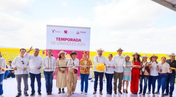 Respalda Gobierno de Tamaulipas promoción de campos de girasoles
