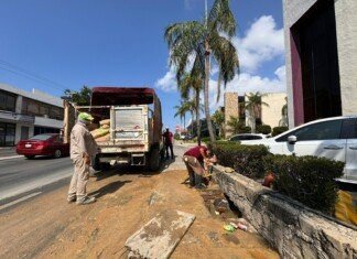 Atiende COMAPA Sur de manera oportuna fuga de agua en la Avenida Hidalgo