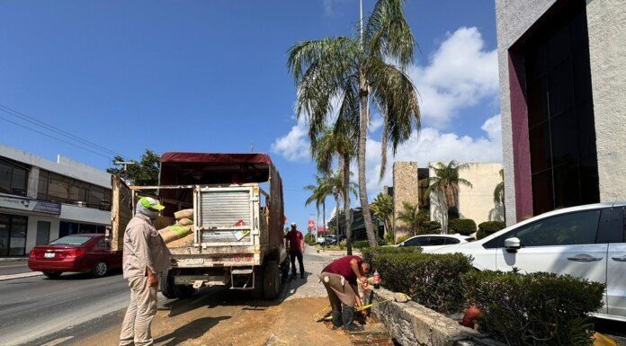 Atiende COMAPA Sur de manera oportuna fuga de agua en la Avenida Hidalgo