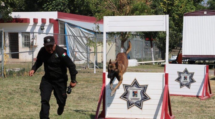 De compañeros a familia: policía de la Guardia Estatal adopta a canino retirado