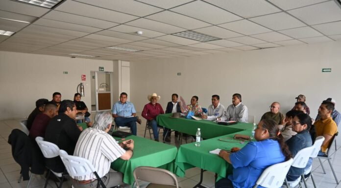 Apoya Gobierno de Tamaulipas gestiones de productores de frijol ante federación