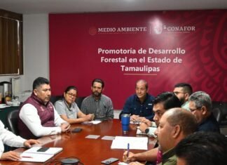 Realizan primera reunión ordinaria del Comité Estatal de Manejo del Fuego 2025