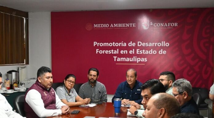 Realizan primera reunión ordinaria del Comité Estatal de Manejo del Fuego 2025
