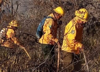 Refuerzan brigadistas de la SEDUMA combate a incendio de pastizales en Tula