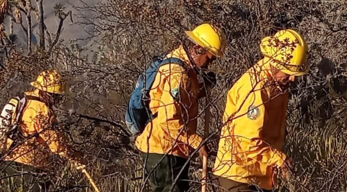 Refuerzan brigadistas de la SEDUMA combate a incendio de pastizales en Tula
