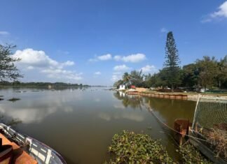 Fundamental unión de esfuerzos de COMAPA SUR y la sociedad para cuidar el agua