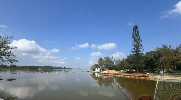 Fundamental unión de esfuerzos de COMAPA SUR y la sociedad para cuidar el agua
