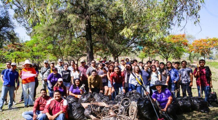 Más de mil jóvenes en Tamaulipas participan en Jornada Nacional de Tequios: INJUVE