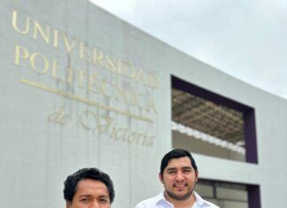 Publican investigadores de UPV estudio sobre inteligencia artificial