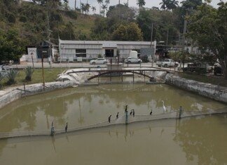 Implementa estrategias COMAPA SUR para prevenir crisis hídrica