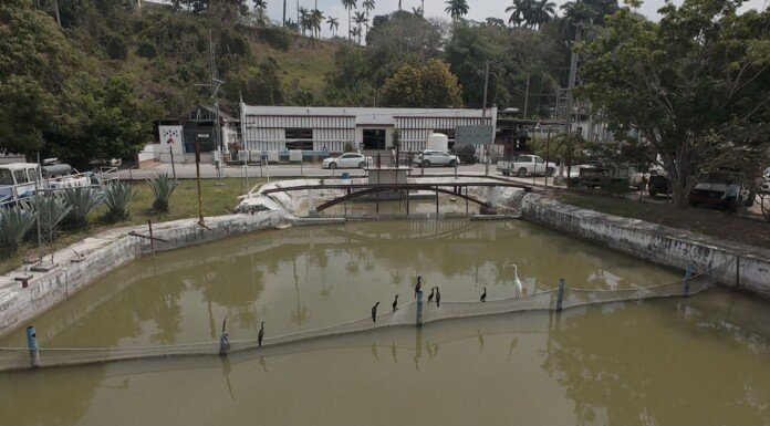 Implementa estrategias COMAPA SUR para prevenir crisis hídrica