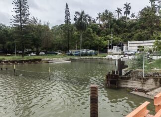 Franca recuperación del sistema lagunario tras las lluvias registradas en la zona