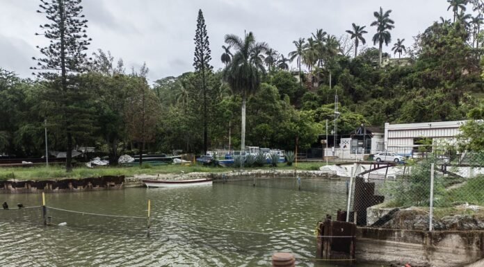 Franca recuperación del sistema lagunario tras las lluvias registradas en la zona
