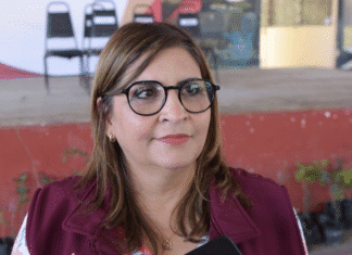 Construye Tamaulipas nuevas alianzas por la acción climática y competitividad verde