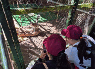 Impulsan turismo social en Tamaulipas