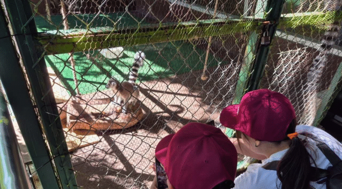 Impulsan turismo social en Tamaulipas